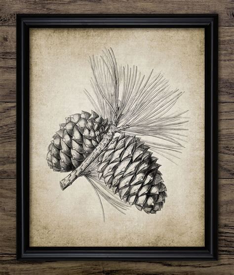 Create Rustic Charm with Pine Cone Prints